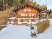 Gemütliches und rustikales Chalet mit Garagen und Gartenhaus