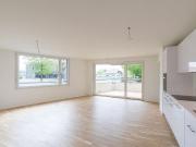 Gemütliches Wohnen in Boniswil