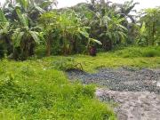 Gen Trias City Cavite Lot 1.4 hectares for sale along...
