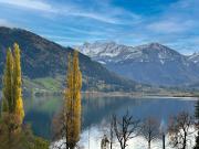 Generalsanierte 4 Zimmer Wohnung mit unvergleichlichem...