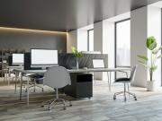 GENF CAROUGE AUSSERGEWÖHNLICHE BÜROS IM DACHGESCHOSS MIT...