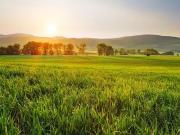 Genillé 37460 Programme neuf terrain neuf à vendre