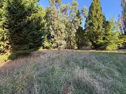 Gennes Val de Loire 49350 Achat / Vente terrain