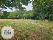 Genouillé Vente Terrain 17
