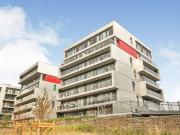 Geoffrey Watling Way, Norwich NR1, 2 bed flat to rent,...