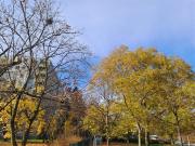 NEUER PREIS! WEITBLICK & SEHR GUTE INFRASTRUKTUR & GUT...