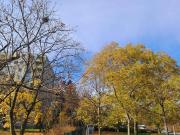 NEUER PREIS! WEITBLICK & SEHR GUTE INFRASTRUKTUR & GUT...