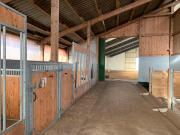 Gepflegter kernsanierter Resthof mit kleiner Reithalle