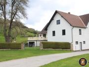 Gepflegtes Haus mit großem Garten