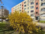 Gepflegtes Hochparterre Apartment mit Gartenanteil – ein...
