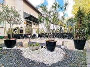 Gepflegtes Reihenhaus mit Garten und Garage