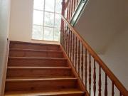 Geräumige 2 Raum Wohnung im Brühl!