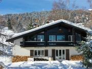 Geräumiges 6,5 Zimmer Chalet auf flachem Land