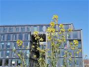 Gesamtetagre mit großen Terrassen und Weitblick über...