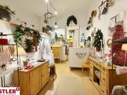 Geschäftslokal mitten im Herzen von Mödling: Platz für...