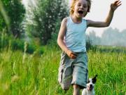 Geschmackvolles Zweifamilienwohnhaus ca. 1,9ha LW Fläche...