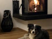 GESUCHT wird. ab 90m² Wohnfläche, mit Garten oder...