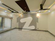 Get This Amazing 3200 Square Feet House Available In G 10/1