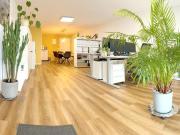 Gewerbe Büro Studio EG