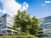 Gewerbe/Anlage in 04277 Leipzig, Bornaische Str