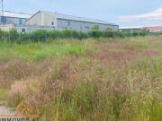 GEWERBEBAUGRUNDSTÜCK in LEOPOLDSDORF im MARCHFELD