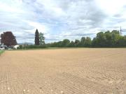 Gewerbegrundstück für Betriebsansiedelung