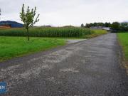 Gewerbegrundstück in Altach zu verpachten! teilbar