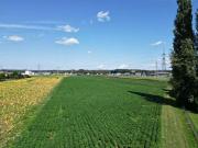 Gewerbegrundstücke im Gewerbegebiet Leibnitz