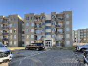 GGCC incluidos cipreses de Bellavista