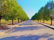 GGR Peram Signature Park And Others,Girmapur Residential...