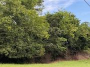 Gillionville Rd, Albany, Plot For Sale