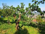 Givors 69700 Achat / Vente terrain