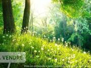 Gland 02400 Programme neuf terrain neuf à vendre