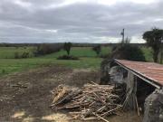 Glaster, Banagher, Co. Offaly, Banagher, Offaly Damian...