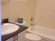 Glazebrook Avenue Apartments 1 Bedroom Apartment for...