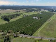 'Glendamia Park' Award Winning Macadamia Farm...
