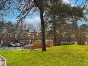 Glenforest, Willet, Willowbend