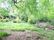 Glenmore Road East, Crowborough, Land For Sale