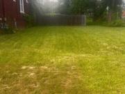Glenwood St, Detroit, Plot For Sale
