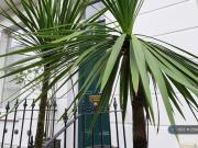 Gloucester Avenue, London, 2 Bedroom Penthouse