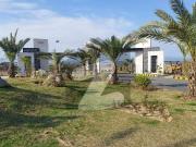 Gloxinia 8 Marla Corner Open Through Zero