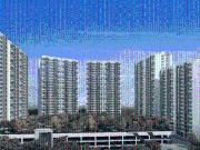 Godrej Forest Grove,Mamurdi 3 BHK Apartment For Sale Pune