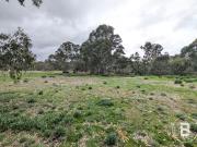 GOING GOING GONE DON'T MISS OUT!