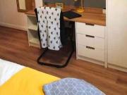 Gold Ensuite | 3, 4 or 7 Bedroom Flat B Has an Apartment