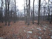 Gold Nugget Rd Lot 21, Augusta, WV 26704