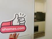 Gold Studio Dual Premium Large