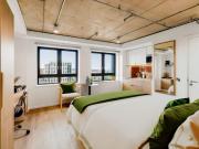 Gold Studio Dual View