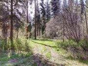 Golden Trl, Boise, Plot For Sale Golden Trl, Boise, Plot For Sale