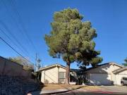 Goldmount Ave