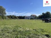 Gols | Baugrundstück in Top Lage | 5.000 m²